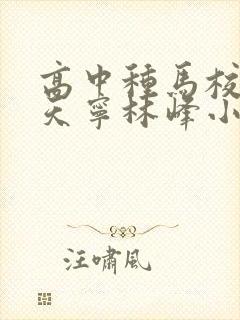 高中种马校草杨天宁林峰小说笔趣阁