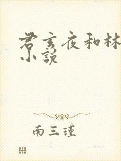 君玄夜和林星瑶小说