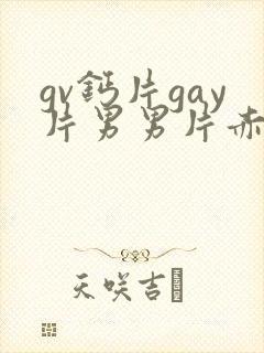 gv钙片gay片男男片赤兔封面