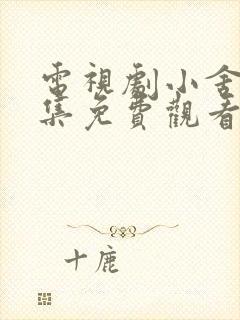 电视剧小舍得全集免费观看西瓜