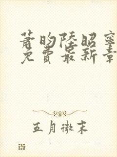 萧昀陆昭宁全文免费最新章节阅读