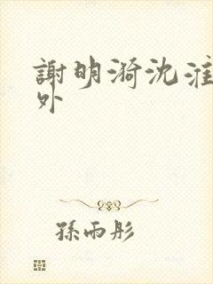 谢明漪沈淮舟番外