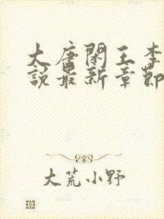 大唐闲王李慎小说最新章节列表