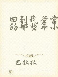 回到我爸当校草的那些年小说封面