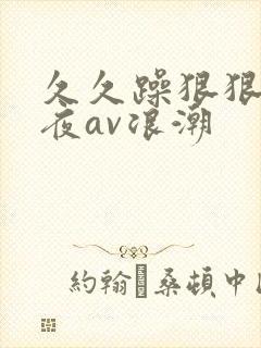 久久躁狠狠躁夜夜av浪潮