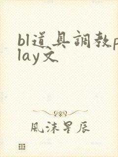 bl道具调教play文