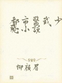 都市医武少狂叶飞小说