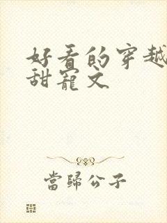 好看的穿越小说甜宠文