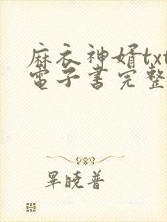 麻衣神婿txt电子书完整版下载封面