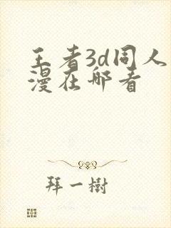 王者3d同人动漫在哪看封面