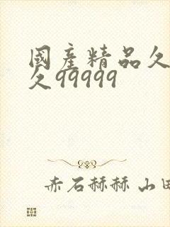 国产精品久久久久99999