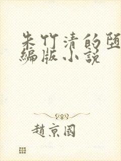 朱竹清的堕落改编版小说封面