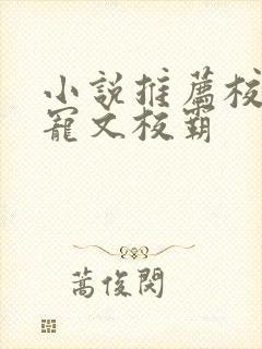 小说推荐校园甜宠文校霸