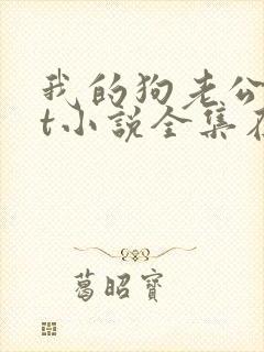 我的狗老公txt小说全集在线阅读