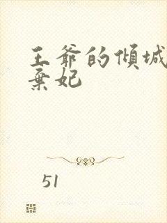 王爷的倾城下堂弃妃