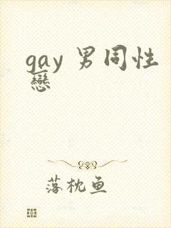 gay 男同性恋