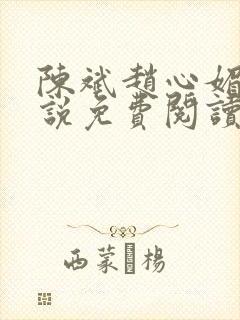 陈斌赵心媚的小说免费阅读全文最新