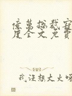 亿万总裁宠妻无度全文免费阅读