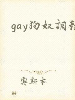 gay狗奴调教封面