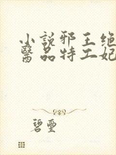 小说邪王绝宠:医品特工妃大结局