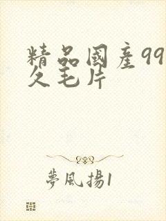 精品国产99久久毛片