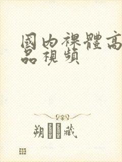 国内裸体高清精品视频封面