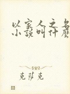 以家人之名原著小说叫什么