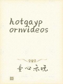 hotgaypornvideos