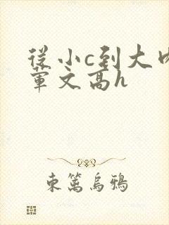 从小c到大肉多荤文高h