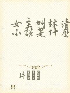 女主叫林清雪的小说是什么