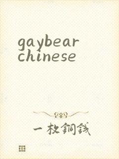 gaybearchinese