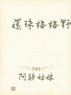 还珠格格野传封面