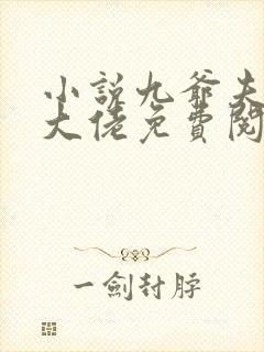 小说九爷夫人是大佬免费阅读全文