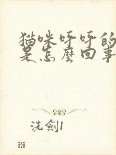 猫咪呼呼的声音是怎么回事