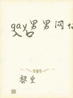 gay男男网站入口
