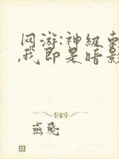 网游:神级刺客,我即是暗影