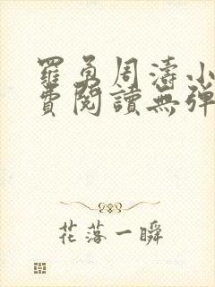 罗勇周涛小说免费阅读无弹窗封面