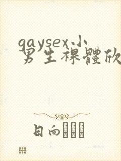 gaysex小男生裸体欣赏photo