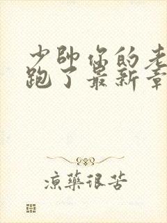 少帅你的老婆又跑了最新章节免费阅读