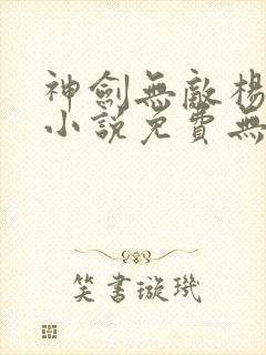 神剑无敌杨小天小说免费无弹窗