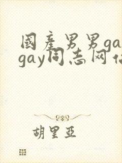 国产男男gaygay同志网站