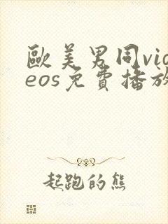 欧美男同videos免费播放