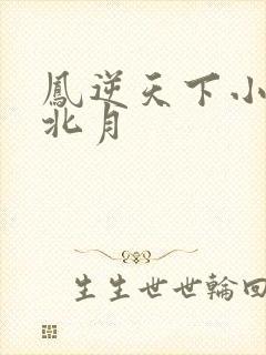 凤逆天下小说凰北月