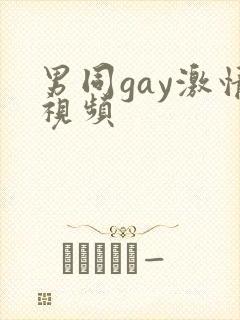 男同gay激情视频