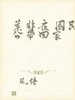 叶非夜 国民老公带回家