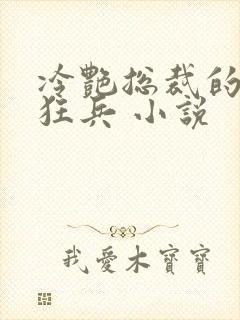 冷艳总裁的贴身狂兵 小说