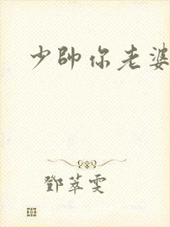 少帅你老婆