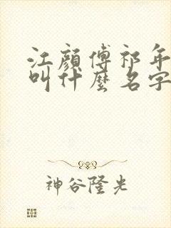 江颜傅祁年小说叫什么名字啊封面