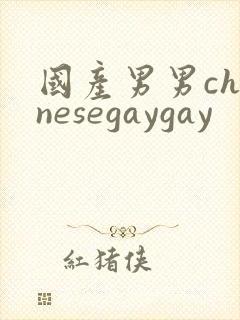 国产男男chinesegaygay
