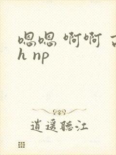 嗯嗯 啊啊 高h np